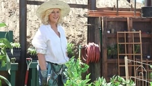 Parks and Recreation: S02E02